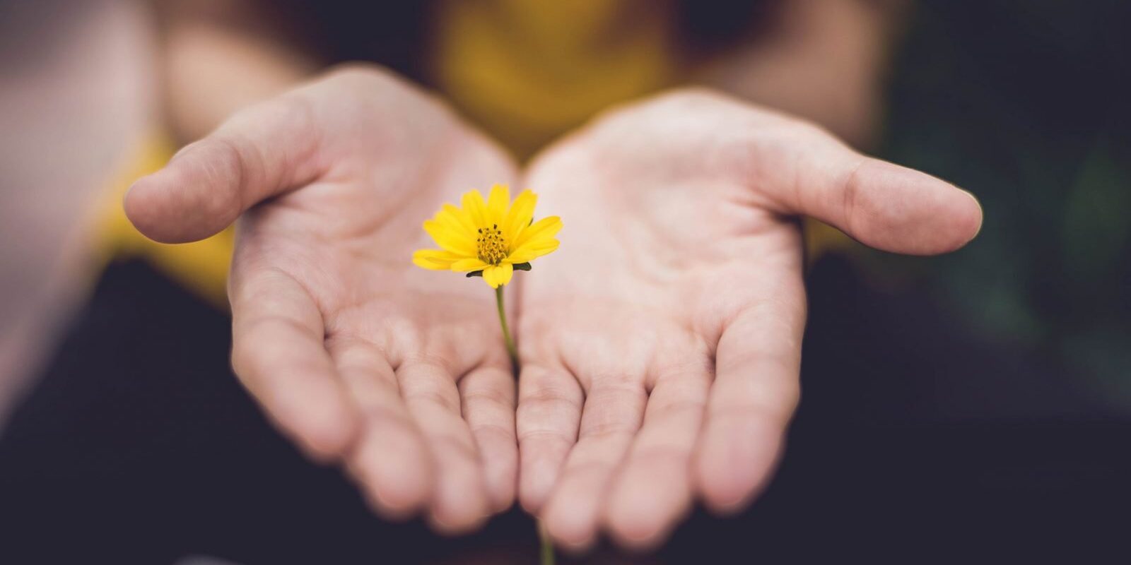 lina-trochez-377674-unsplash