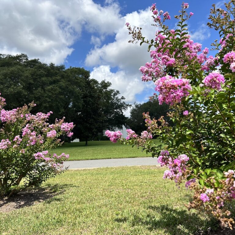 Spring Hollow Estates Foliage