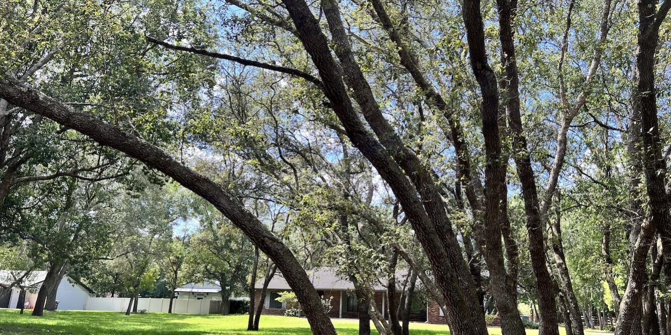 prettytree Spring Hollow Estates Pretty Trees