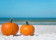 Pumpkins on the beach