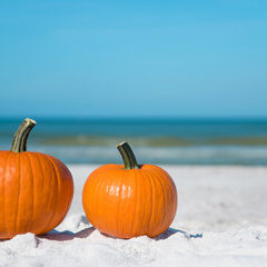 Pumpkins on the beach