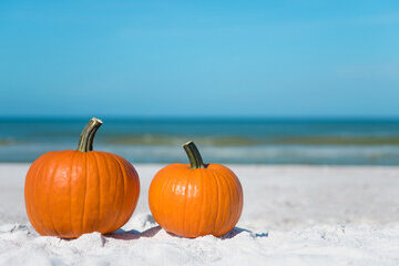 Pumpkins on the beach